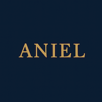 Aniel meson
