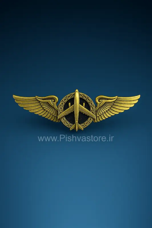 وینگ هواپیما