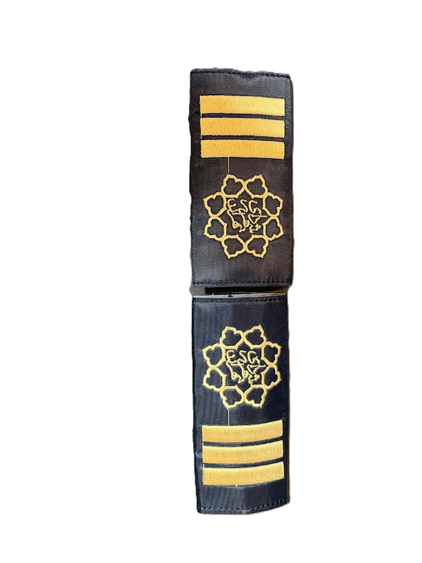 سردوشی شهرداری تهران