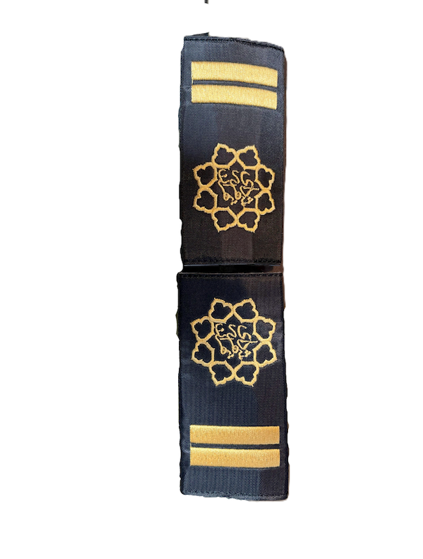 سردوشی شهرداری تهران