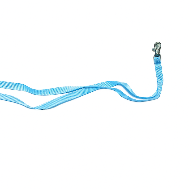 بند آویز کارت (بند گردنی)