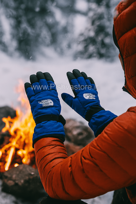 دست کش نورث فیس 