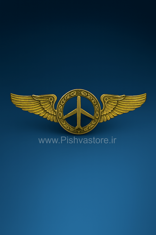 وینگ عمومی خلبانی