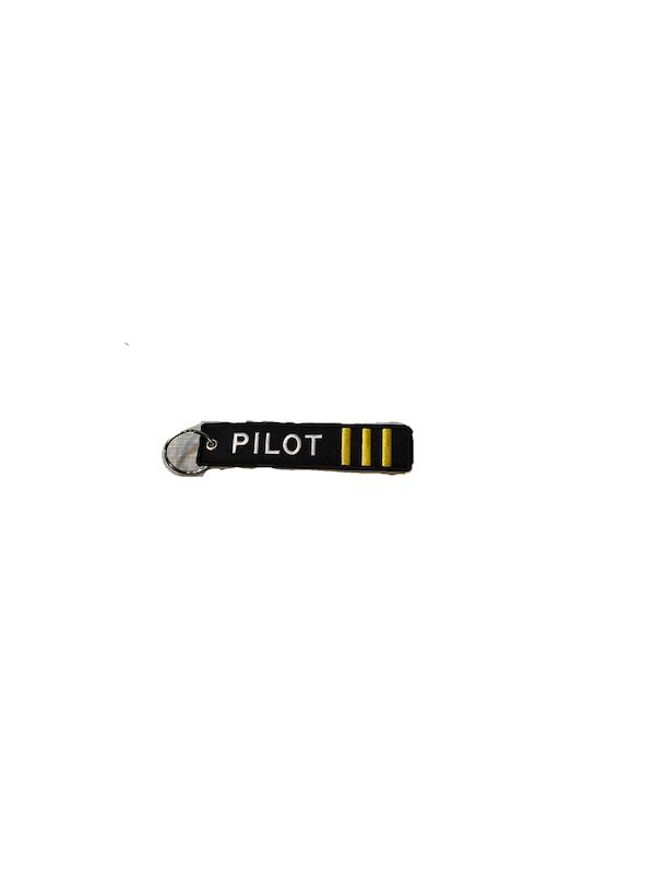 جا کلیدی پایلت (pilot)
