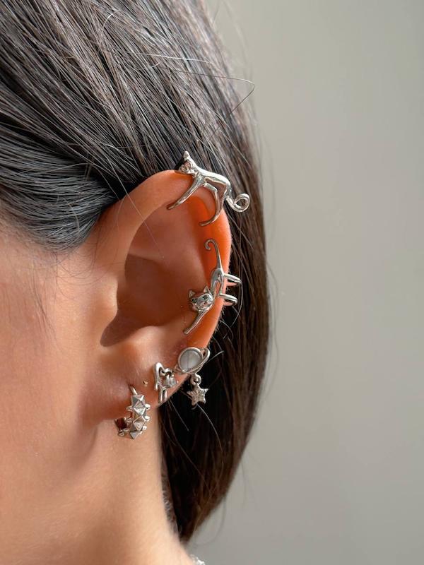 ایرکاف گربه ۱ سیمبا