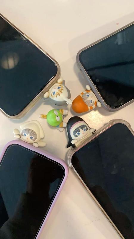 هیپرز شانسی گربه