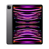 آیپد پرو 12.9 اینچ | iPad Pro 12.9 Inch M2 5G - ظرفیت 2 ترابایت