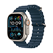 اپل واچ اولترا 2 تیتانیومی با بند اوشن آبی | Apple Watch Ultra 2 Titanium - Blue Ocean Band