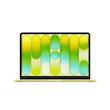 مک بوک نئو 13 اینچ 2026 | MacBook Neo 13 inch A18 Pro 6C-5C - ظرفیت 256/8 گیگ