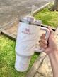 ماگ STANLEY مدل Quencher H2O Tumbler (ابر و باد)