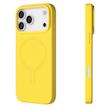 قاب Youngkit یانگ کیت مراندی Morandi series Iphone