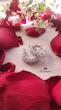 گوشواره حلقه ای جواهر پایه نقره شاین دار ARA 124