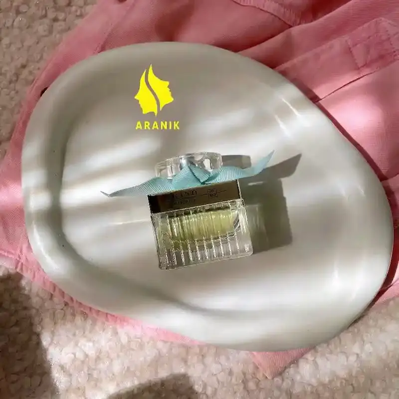 عطر ادکلن زنانه کلوهه نچرال برند کالکشن کد 320 (Brand collection Chloe Naturelle Chloé)