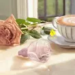 ادوپرفیوم زنانه ولار تندر 50 میل Volare Eau de Parfum