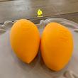 اسفنج آرایشی ریل تکنیک | Real Techniques Miracle Complexion Sponge