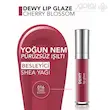 لیپ گلاس فلورمار DEWY LIP GLAZE شماره 016 رنگ CHERRY BLOSSOM