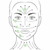ماساژور دستی صورت مدل گواشا استیل (اصل)