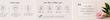 شیر مو 15 کاره فاقد سولفات اکتیواتور موهای فر سالون کر SALON CARE
