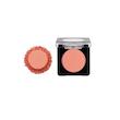 رژگونه پودری فلورمار Blush on 103 sparkle rose (Flormar)