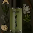 عطر جیبی مگاماره رودیر - 30 میل - RODIER ECO