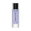 عطر جیبی سیلور سنت SILVER SENT رودیر 30 میل - RODIER ECO
