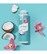 شامپو بدن آب نارگیل و گل ارکیده سینت ایوز St.Ives Coconut Water & Orchid Hydrating Body Wash 650