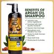 شامپو بدون سولفات آرگان لايتنس Lightness Argan Oil Shampoo