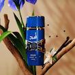 ادو پرفیوم مردانه اسد زانزیبار لطافه Lattafa Asad Zanzibar Lattafa Edp 100Ml