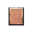 برنزر وت اند وایلد Wet N Wild Bronzer Powder