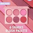 پالت رژگونه 6 رنگ شیگلم Sheglam Floral Flush Blush Palette