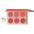 پالت رژگونه ۶ رنگ (Floral Plush Blush Palette) اورجینال