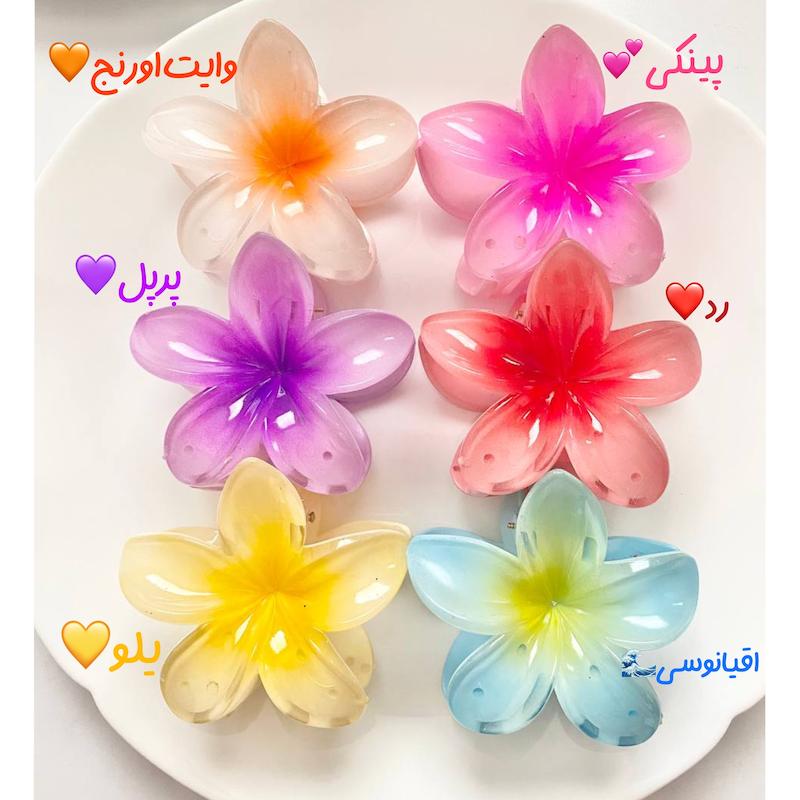 کلیپس پلومریا 