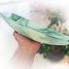 کشکول طرح نانسی سبز (Green Nansy Bowl)