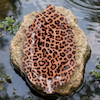 ظرف سرو قالب برگ طرح پلنگی |  Leopard Leaf-Shaped