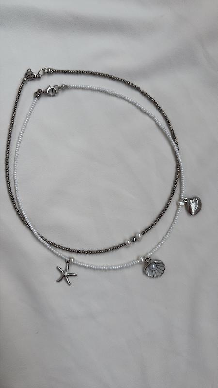 ست دریایی سیلور