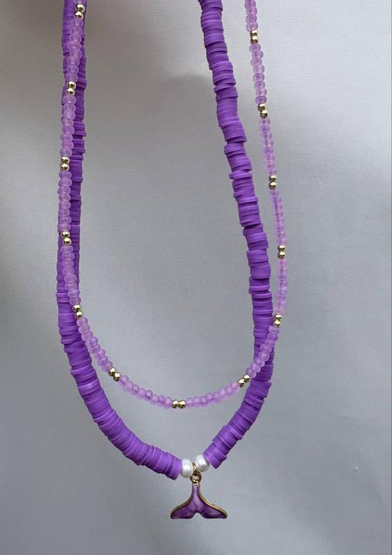 ست دریایی بنفش