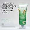 ست شوینده 2 مرحله ای آنوا پاکسازی و رفع منافذ عمیق ANUA Pore Control DUAL CLEANSING SET