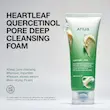 ست شوینده 2 مرحله ای آنوا پاکسازی و رفع منافذ عمیق ANUA Pore Control DUAL CLEANSING SET