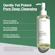 ست شوینده 2 مرحله ای آنوا پاکسازی و رفع منافذ عمیق ANUA Pore Control DUAL CLEANSING SET