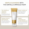 پک شوینده دو مرحله ای اسکین 1004 skin1004 centellA DOUBLE CLEANSING DUO