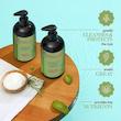 شامپو مو رزماری و نعناع میله ارگانیک Mielle Rosemary Mint Strengthening Shampoo
