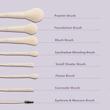 ست براش 8 عددی شیگلم-pro core brush kit