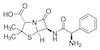 رفرنس استاندارد آمپی‌سیلین 1033000 Ampicillin