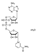 بتا نیکوتینامید آدنین دی نوکلئوتید N7004 سیگما β-Nicotinamide adenine dinucleotide hydrate