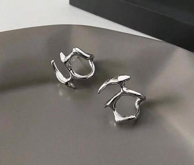 گوشواره افکت فلز مایع، گوشواره نقره‌ای خاص، گوشواره برای لباس شب، گوشواره تکی مدرن، گوشواره مد روز، گوشواره فشن، گوشواره سبک خیابانی، گوشواره خاص دخترانه، گوشواره خلاقانه، گوشواره high-end، گوشواره اکسپریمنتال، گوشواره زنانه شاین‌دار