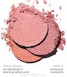 رژگونه تارت، رژگونه Tarte، رژگونه Amazonian Clay، رژگونه ۱۲ ساعته تارت، رژگونه آمازونیَن کلی، رژگونه پودری تارت، رژگونه حرفه‌ای، رژگونه ماندگار، رژگونه طبیعی، رژگونه نچرال، رژگونه گلام، رژگونه روزانه، رژگونه مجلسی، رژگونه نرم، رژگونه ابریشمی، رژگونه سبک، رژگونه پیگمنت بالا، رژگونه فید آسان، رژگونه بدون لک، رژگونه بدون پچ شدن، رژگونه بدون خشکی، رژگونه بدون ریزش، رژگونه مناسب پوست چرب، رژگونه مناسب پوست خشک، رژگونه مناسب پوست مختلط، رژگونه دخترانه، رژگونه زنانه، رژگونه خارجی، رژگونه اورجینال، رژگونه اصل، رژگونه لوکس، رژگونه ترند، رژگونه اینستاگرامی، رژگونه تیک تاک، رژگونه Exposed، رژگونه Paaarty، رژگونه Blushing Bride، رژگونه Natural Beauty، رژگونه صورتی، رژگونه هلویی، رژگونه رز، رژگونه nude، رژگونه مات، رژگونه براق طبیعی، رژگونه حرفه‌ای آرایشی، رژگونه مناسب میکاپ آرتیست، رژگونه با ماندگاری بالا، رژگونه برند تارت، رژگونه آمریکایی، رژگونه برای آرایش طبیعی، رژگونه برای آرایش عروس، رژگونه پوست شاداب، رژگونه وگان، رژگونه cruelty free، رژگونه با خاک رس آمازون، رژگونه سبک روزانه، رژگونه محبوب خارجی، رژگونه پرفروش، tarte blush, amazonian clay blush, tarte amazonian clay 12 hour blush, tarte paaarty blush, tarte exposed blush, long lasting blush, powder blush, natural blush, blush makeup