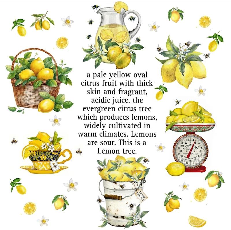 دستمال آشپزخانه                             🍋                     lemon 
