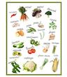 دستمال آشپزخانه  🥦vegetables 