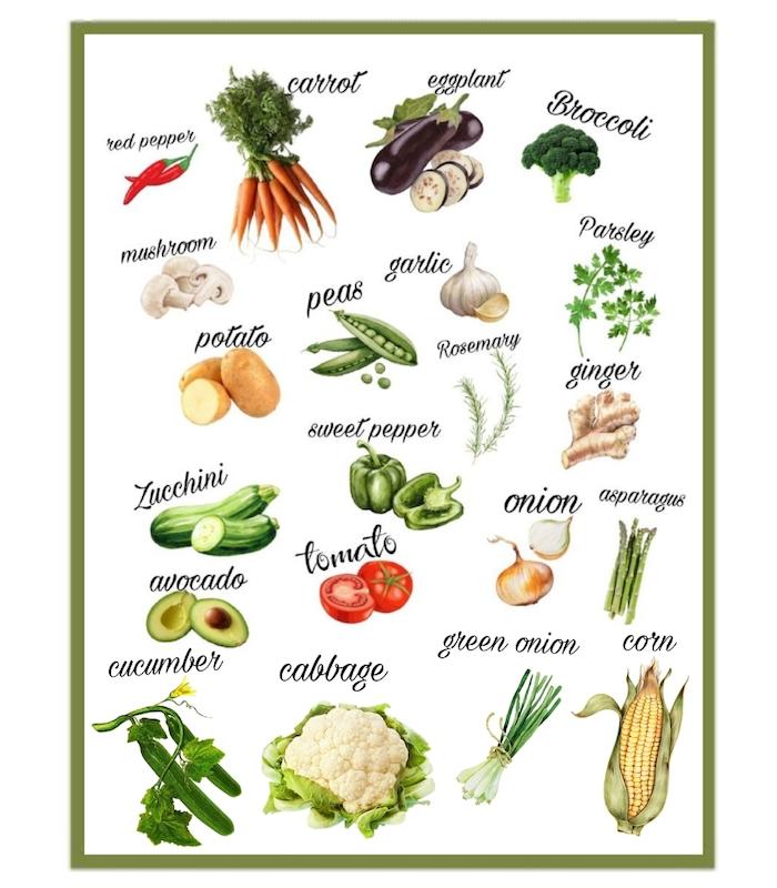 دستمال آشپزخانه  🥦vegetables 