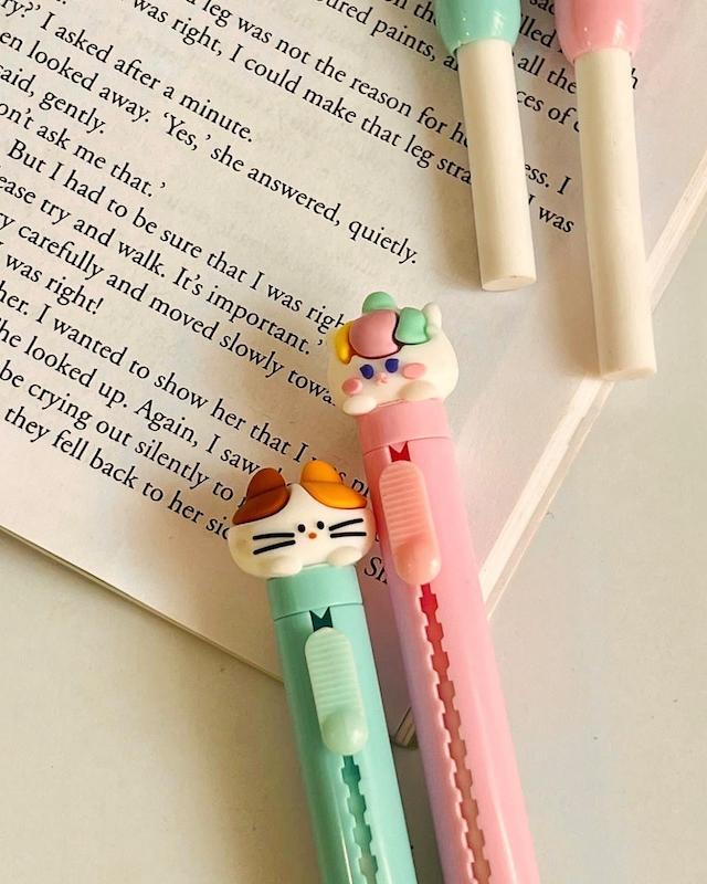 پاکن اتودی گربه